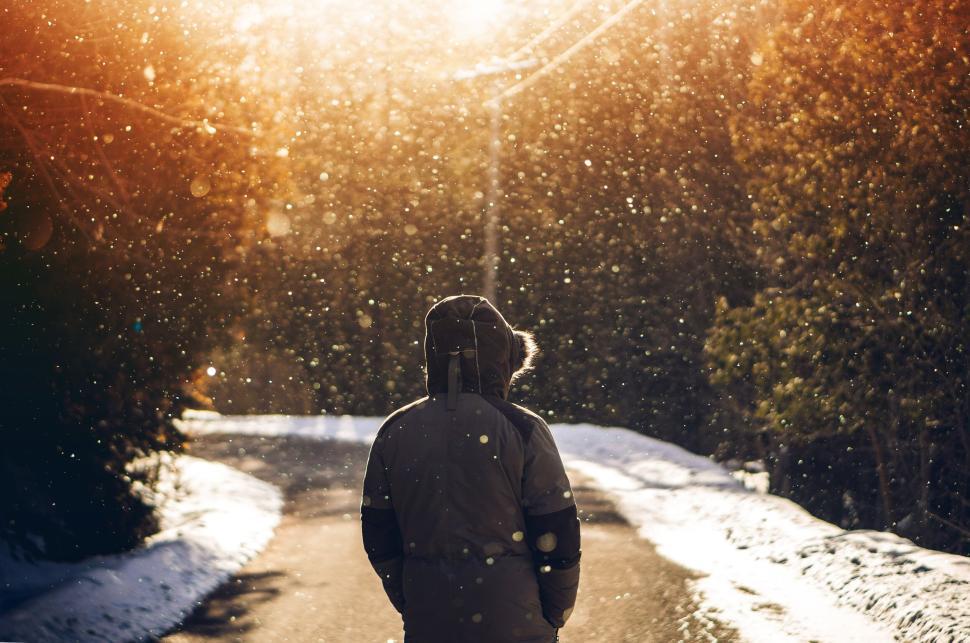 Free Image of Person in winter coat walking on snow-covered path. 