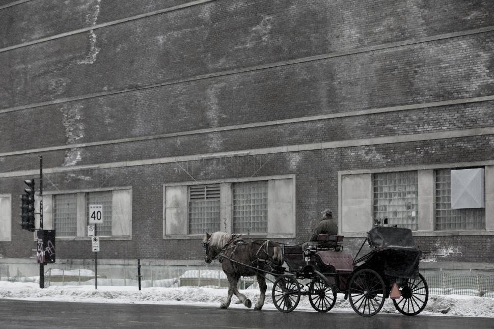 Free Image of Horse-drawn carriage moving on a snowy city street. 