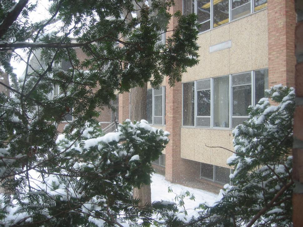 Free Image of Snowy Window 