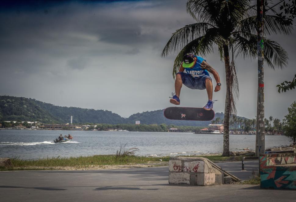 Free Image of Coastal skateboard trick by palm tree and calm water 