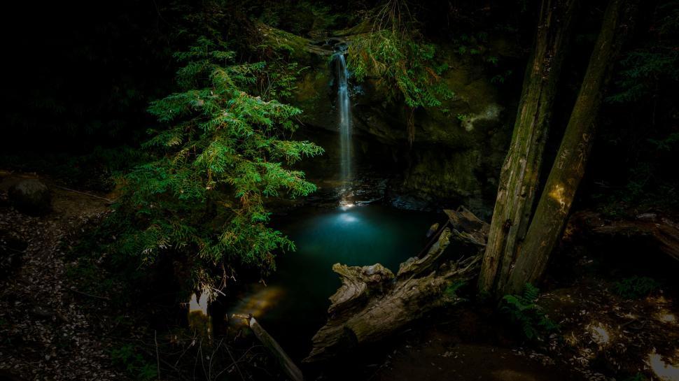 Free Image of Bright green foliage around a small waterfall in a forest 