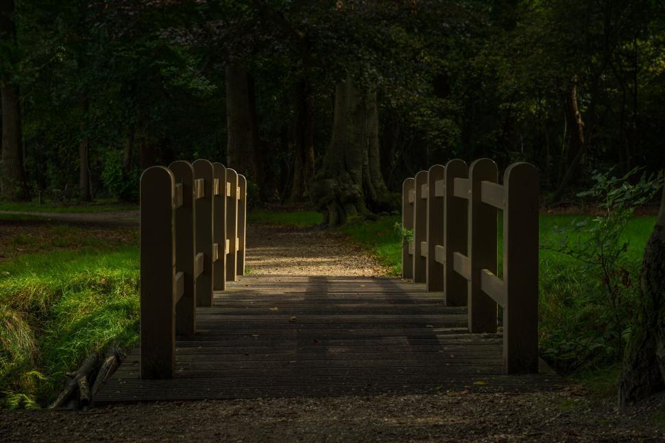Free Image of A wooden bridge leading into a dimly lit forest 