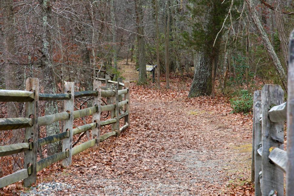 Free Image of Hiking Path in Autumn Woods  