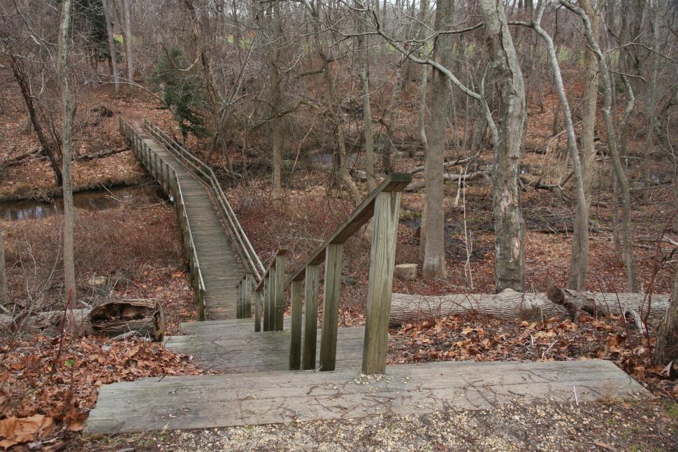 Free Image of Wooden Stairs and Boardwalk 