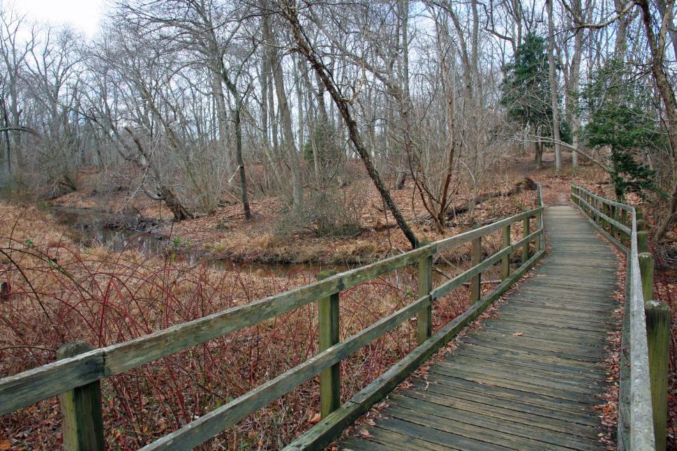 Free Image of Wooden Boardwalk Over Stream 