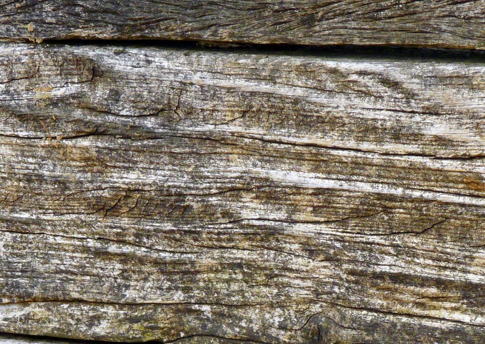 Free Image of Wood Texture  