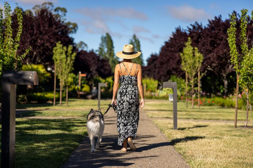 Free Image of Woman walking with dog in park surrounded by trees 