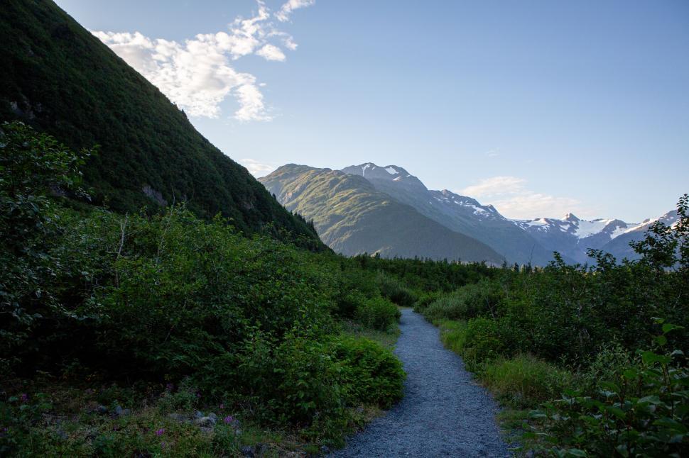 Free Image of Mountain trail through dense foliage with snowy peaks afar. 