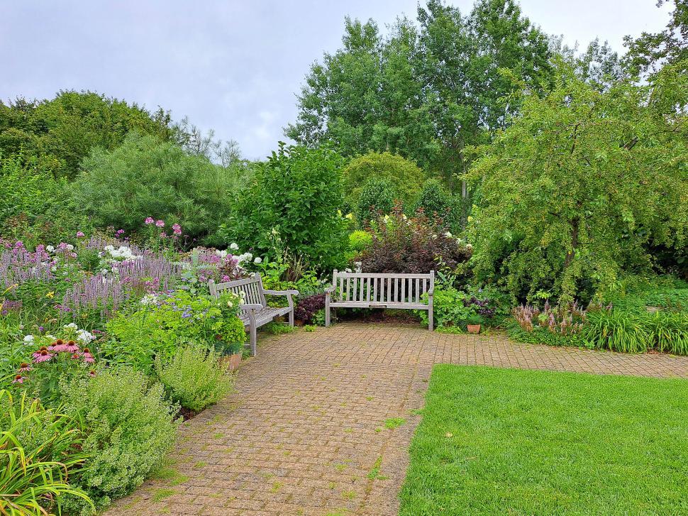 Free Image of Wooden Benches  
