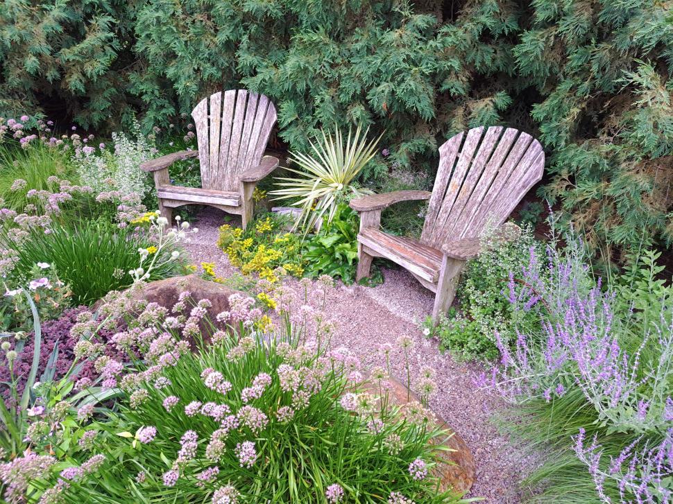 Free Image of Wooden Chairs in the Middle of the Park 