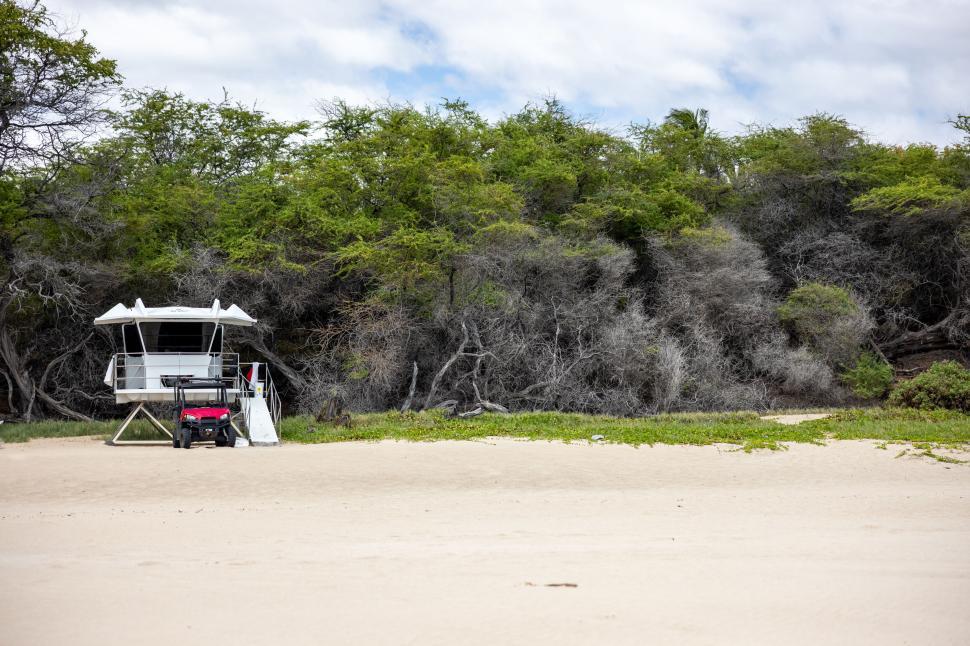 Free Image of Beach lifeguard tower with surrounding greenery, daytime 