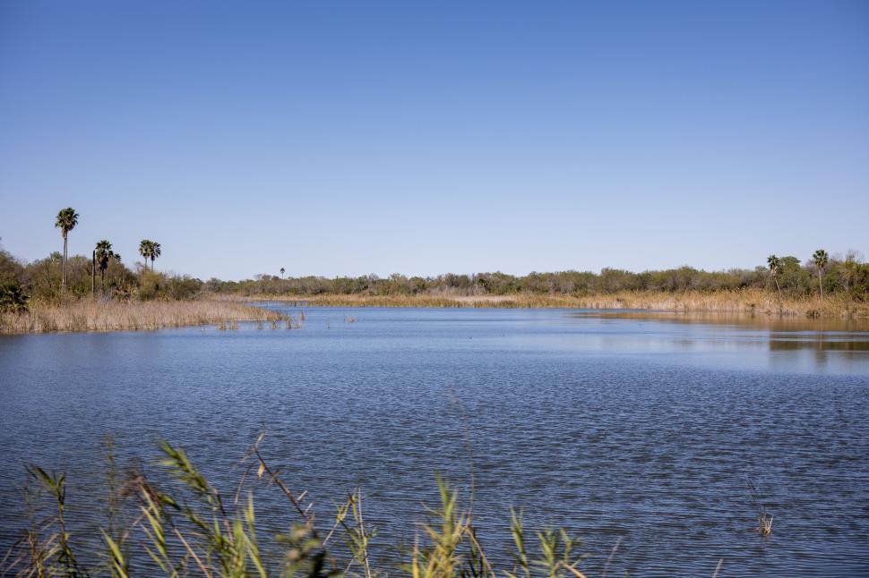 Free Image of Scenic river landscape with palm trees and clear sky 