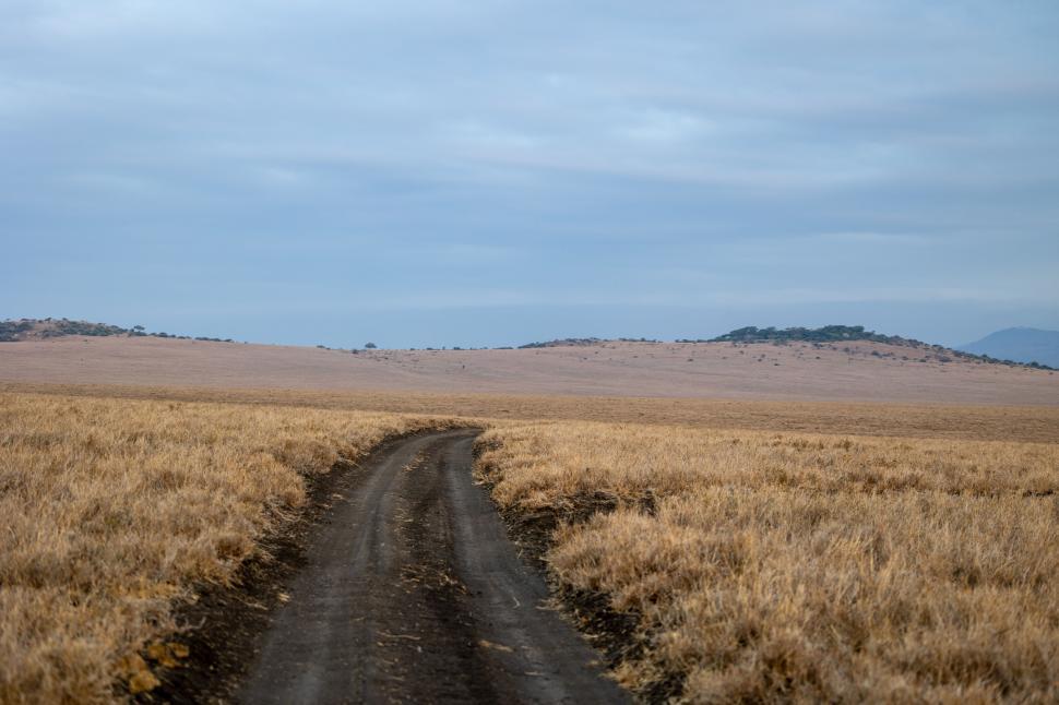 Free Image of Dirt road fading into the horizon in a dry savannah landscape 