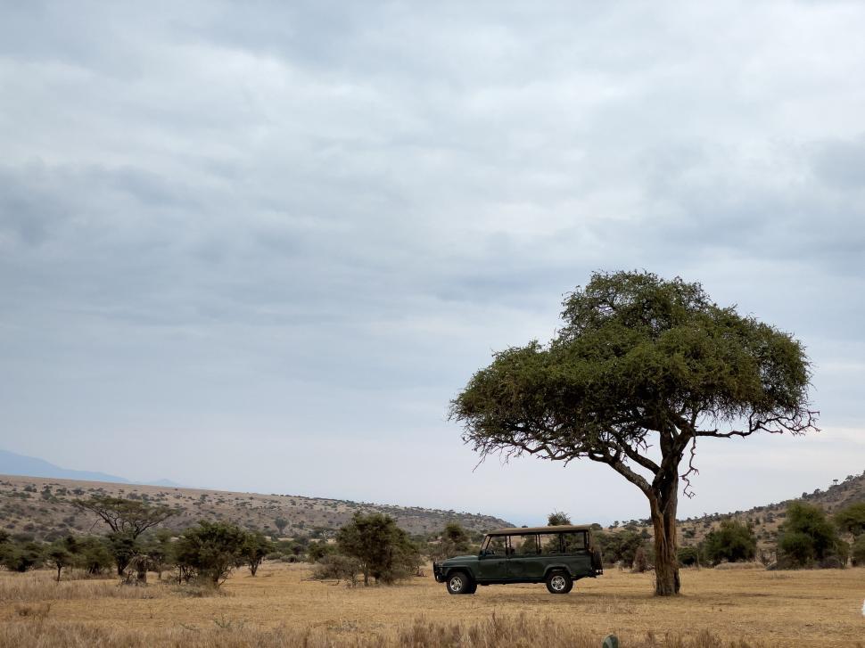 Free Image of Green safari jeep under tree with cloudy sky. 