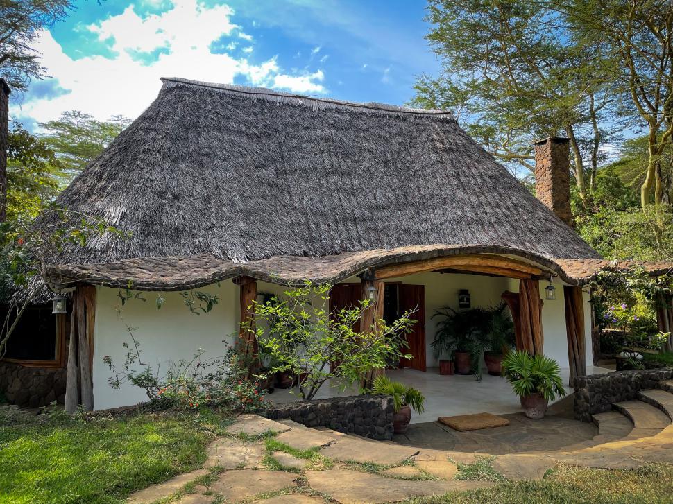 Free Image of Charming thatched roof house with outdoor plants. 