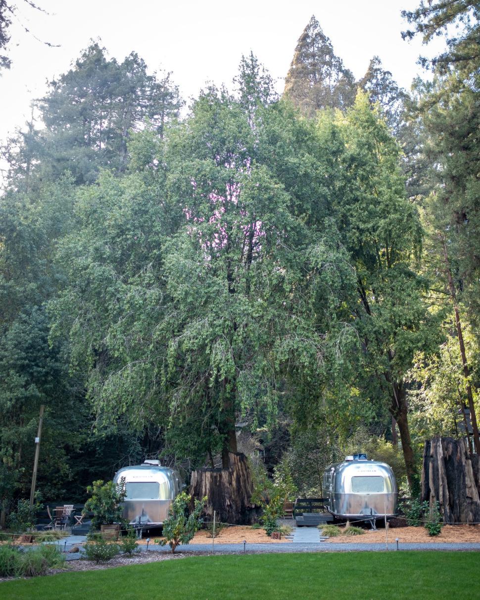 Free Image of Two silver trailer vans parked under large tree. 