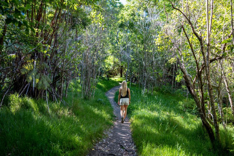 Free Image of Woman walking alone through serene green forest path 