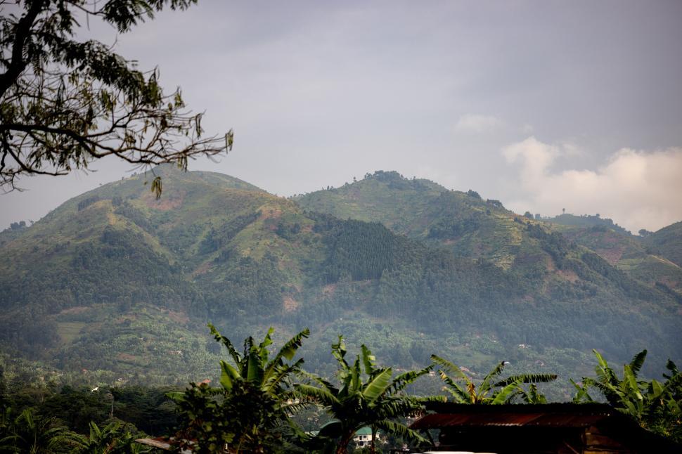 Free Image of Lush green mountains under a cloudy sky horizon 