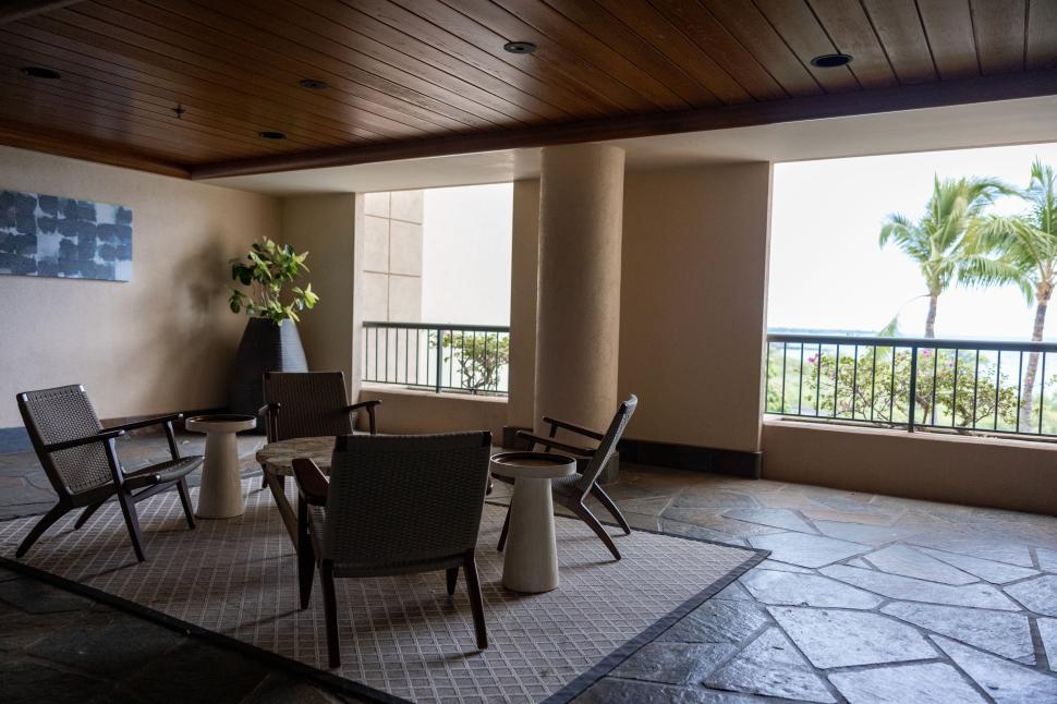 Free Image of Stylish seating area with view of palm trees outside. 