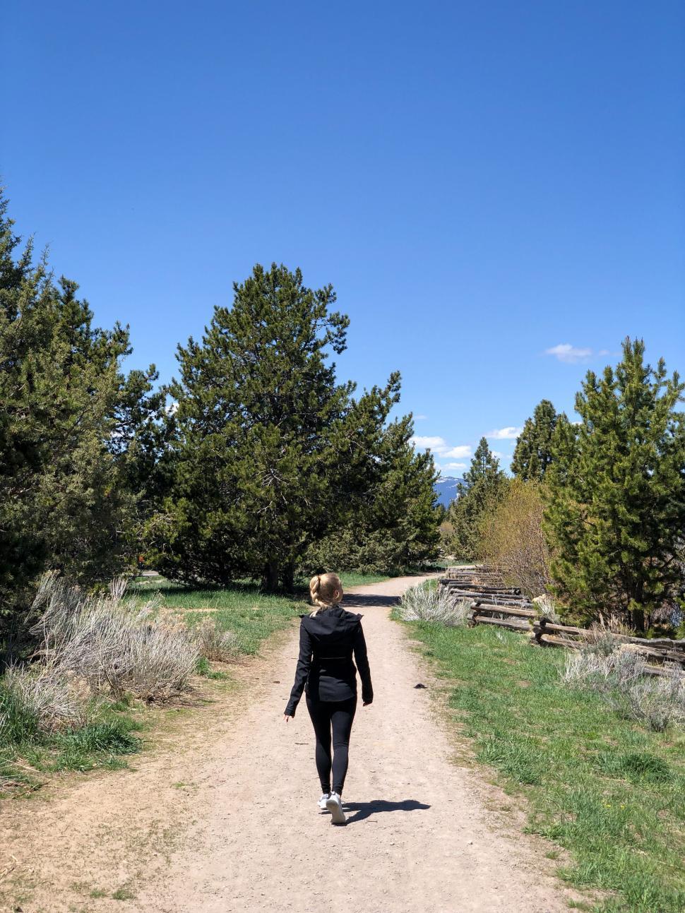 Free Image of Person taking a walk on a dirt trail in green park. 