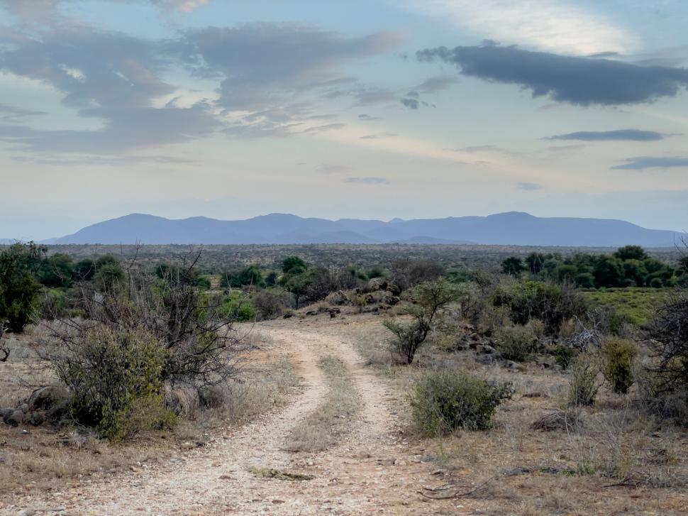Free Image of Gravel path in serene, wide open savanna landscape view 