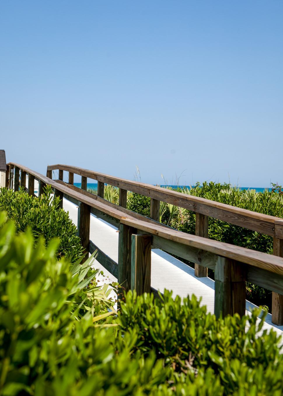 Free Image of Wooden path leading towards the beach with greenery around 