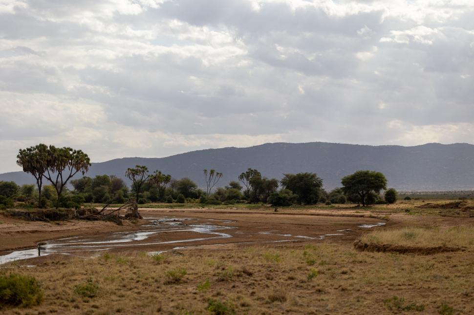 Free Image of Dry riverbed in a vast, arid landscape with trees 