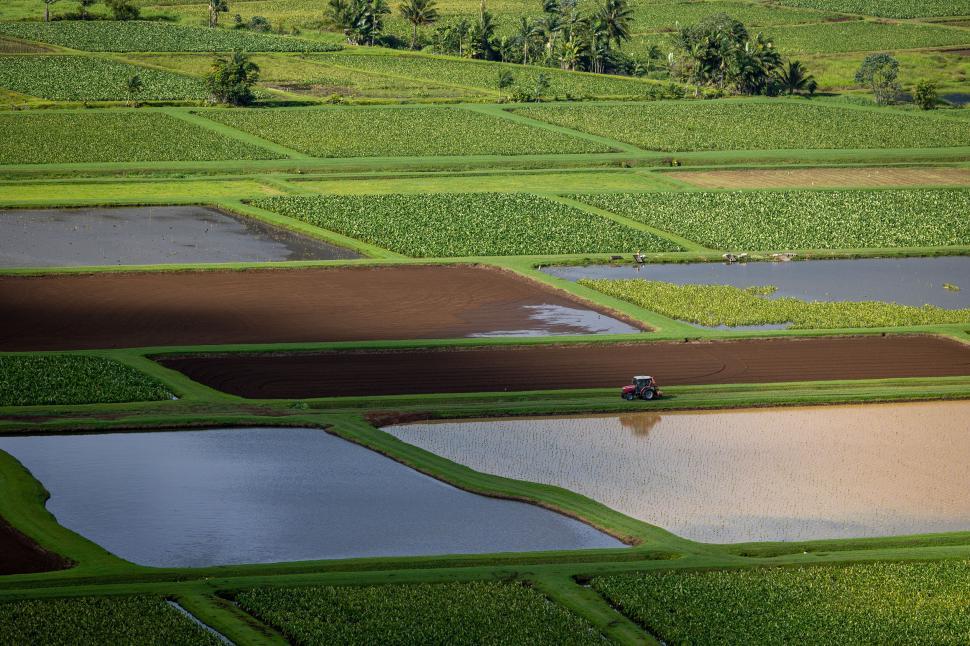 Free Image of Aerial view of fields with tractor and water patches. 