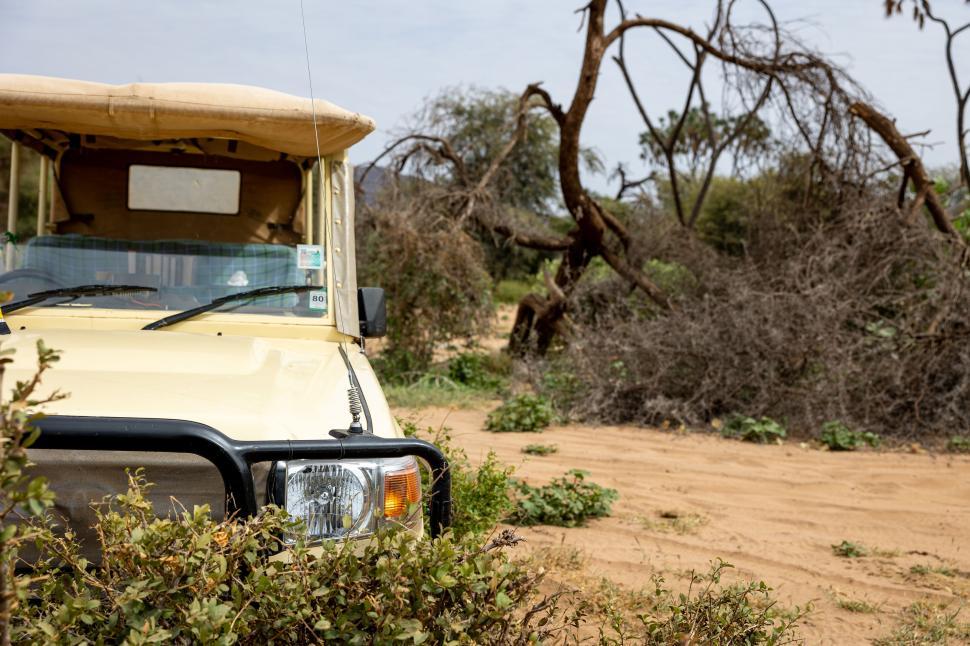Free Image of Safari jeep in dry desert landscape with fallen trees 
