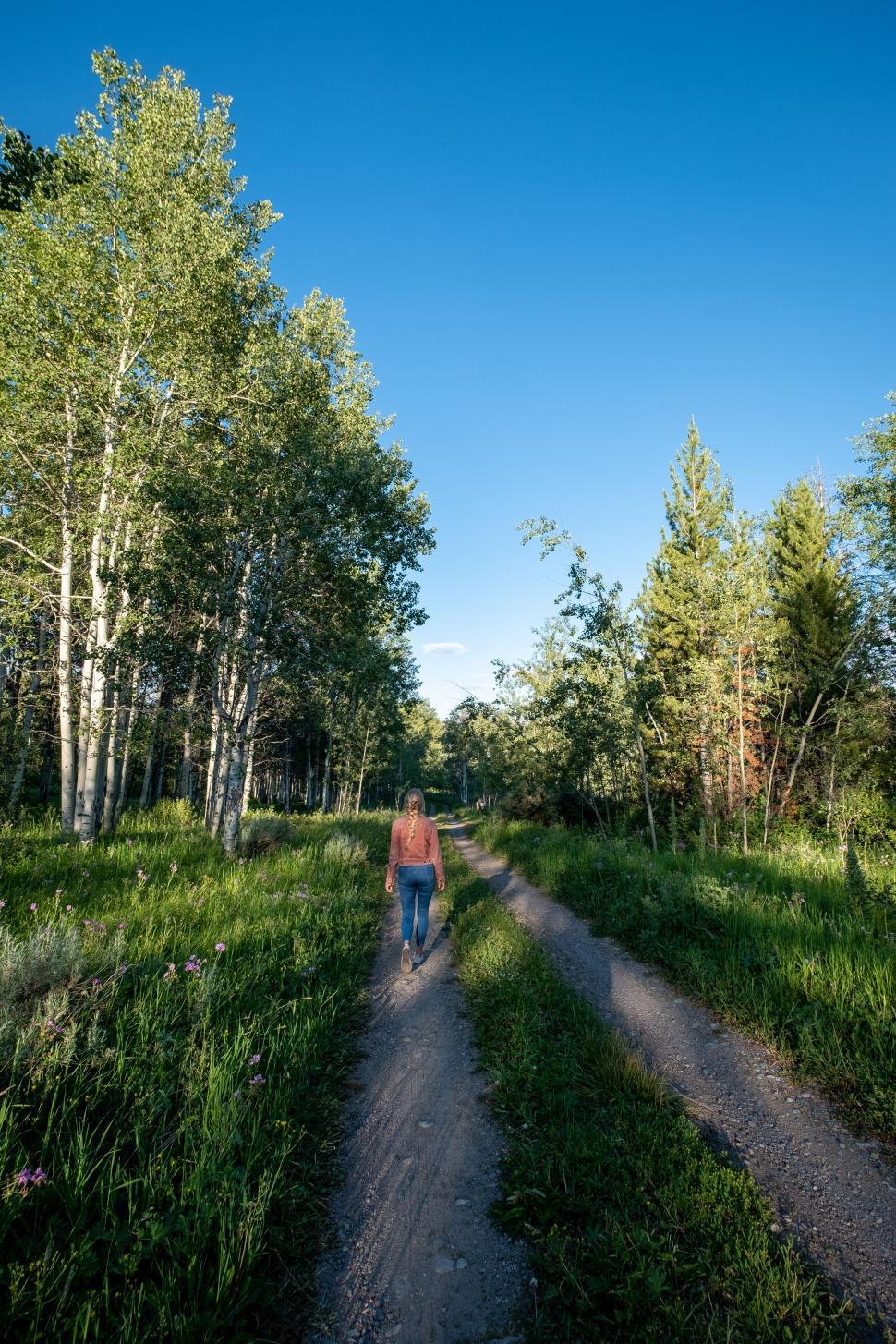Free Image of Woman walking on a forest pathway during sunny day 
