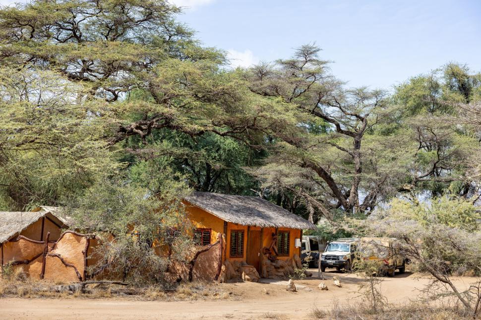 Free Image of Small earthy house surrounded by large trees and nature 