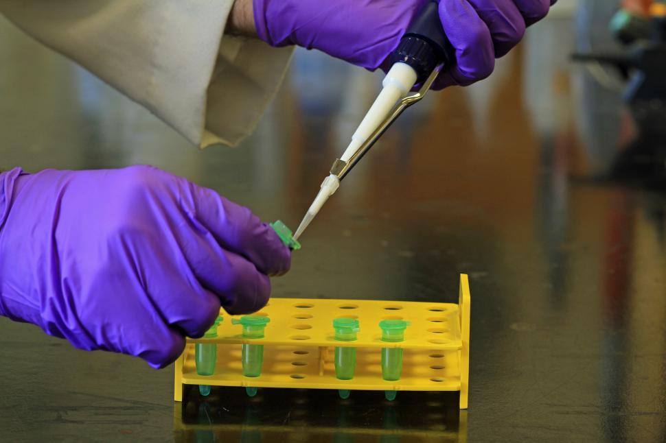 Free Image of Sample Transfer 