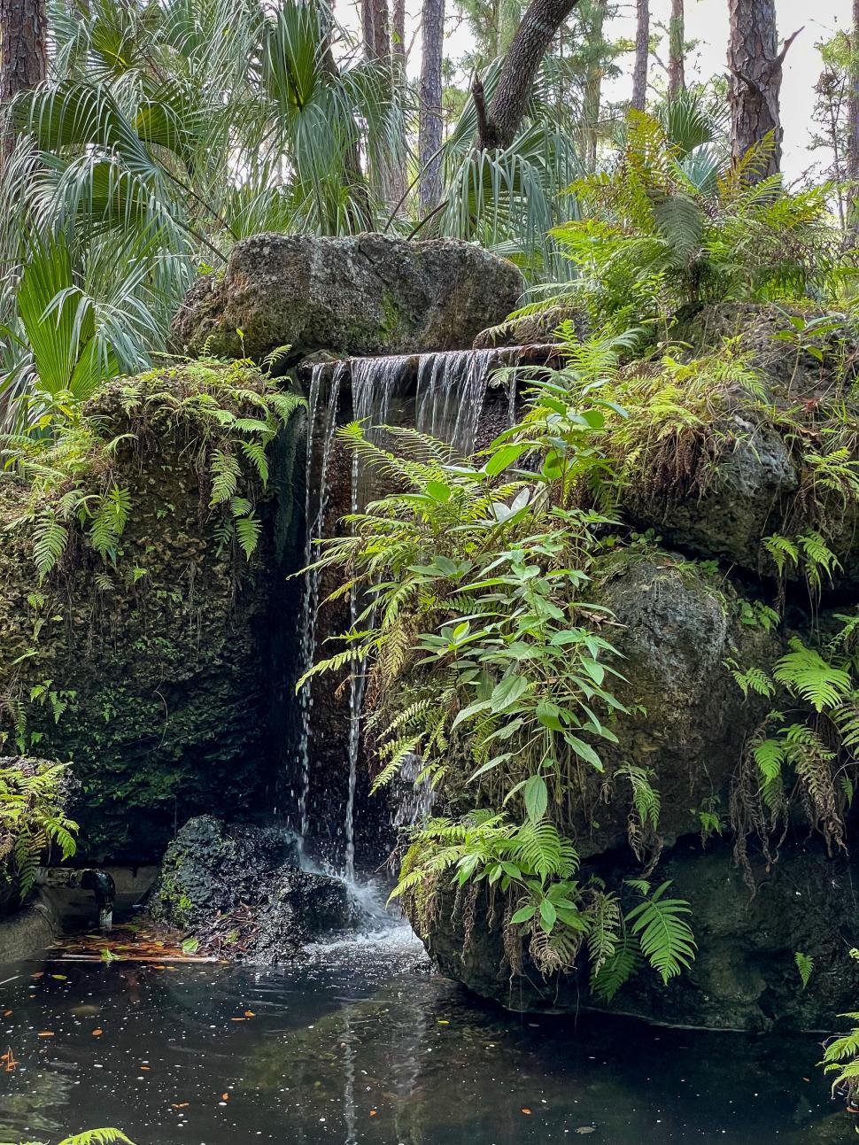 Free Image of Natural waterfall in lush green forest with rocks 