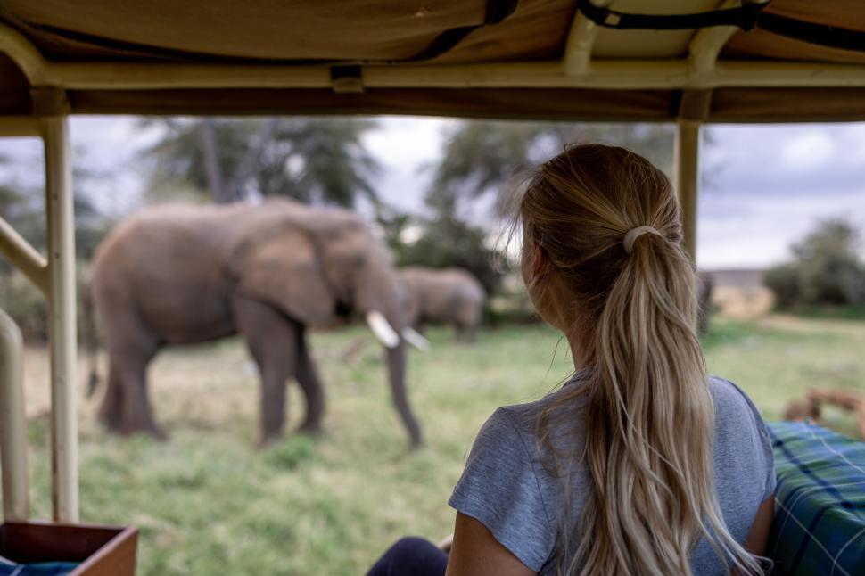 Free Image of Safari tourist observing elephants in their natural habitat 