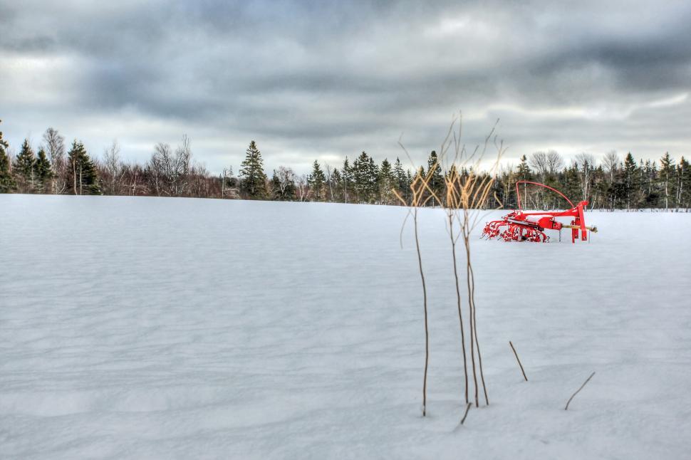 Free Image of Winter Field 
