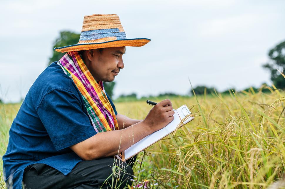 Free Image of Asian farmer write on clipboard in rice field 