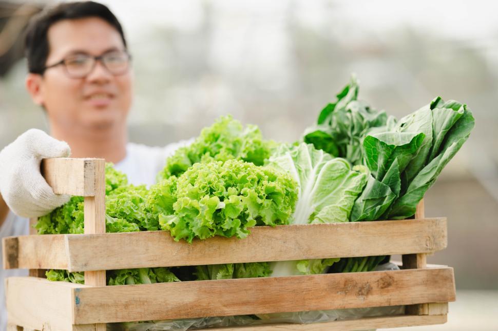 Free Image of Farmer man holding wooden box full of fresh raw vegetables 