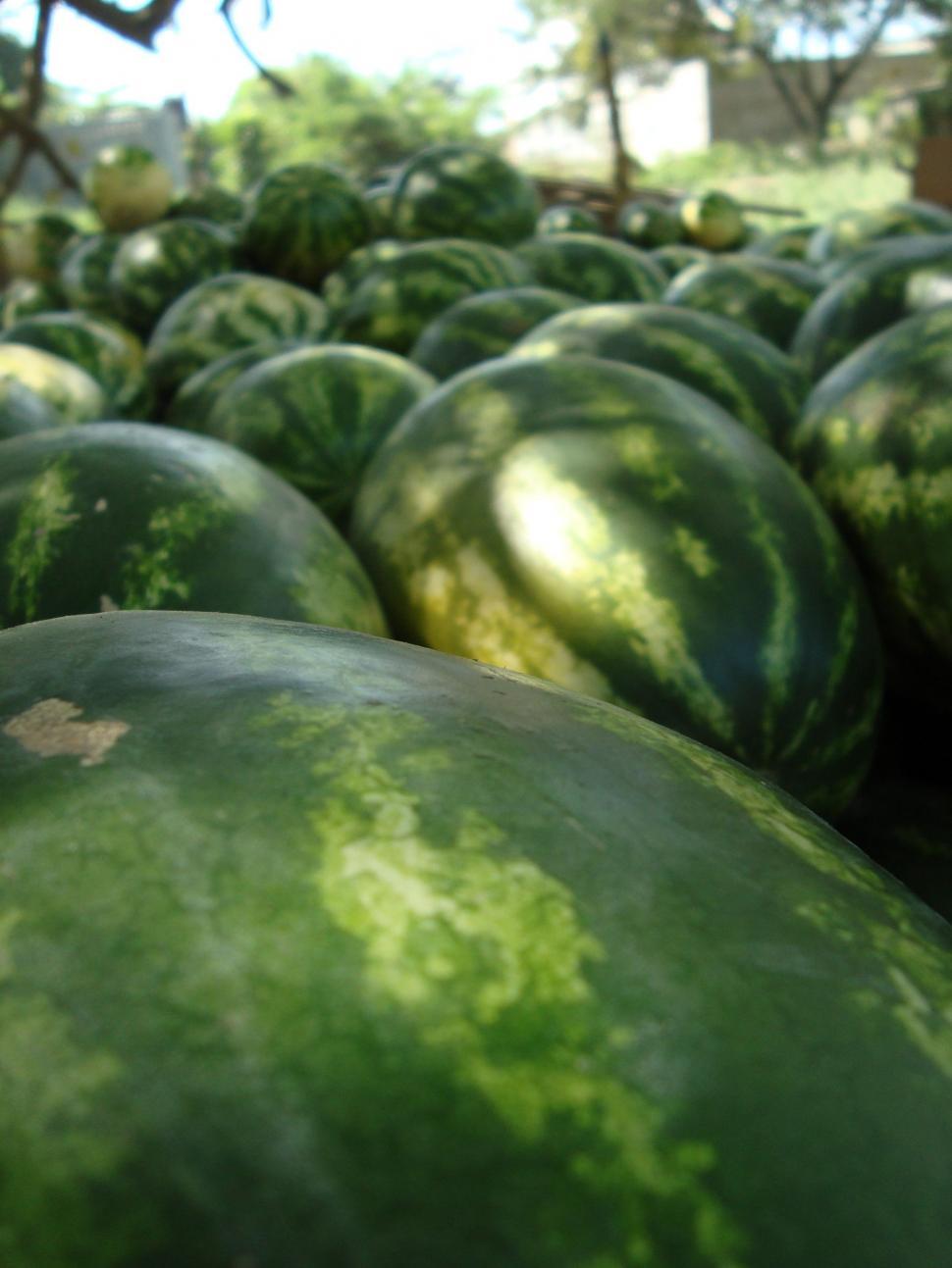 Free Image of watermelon 