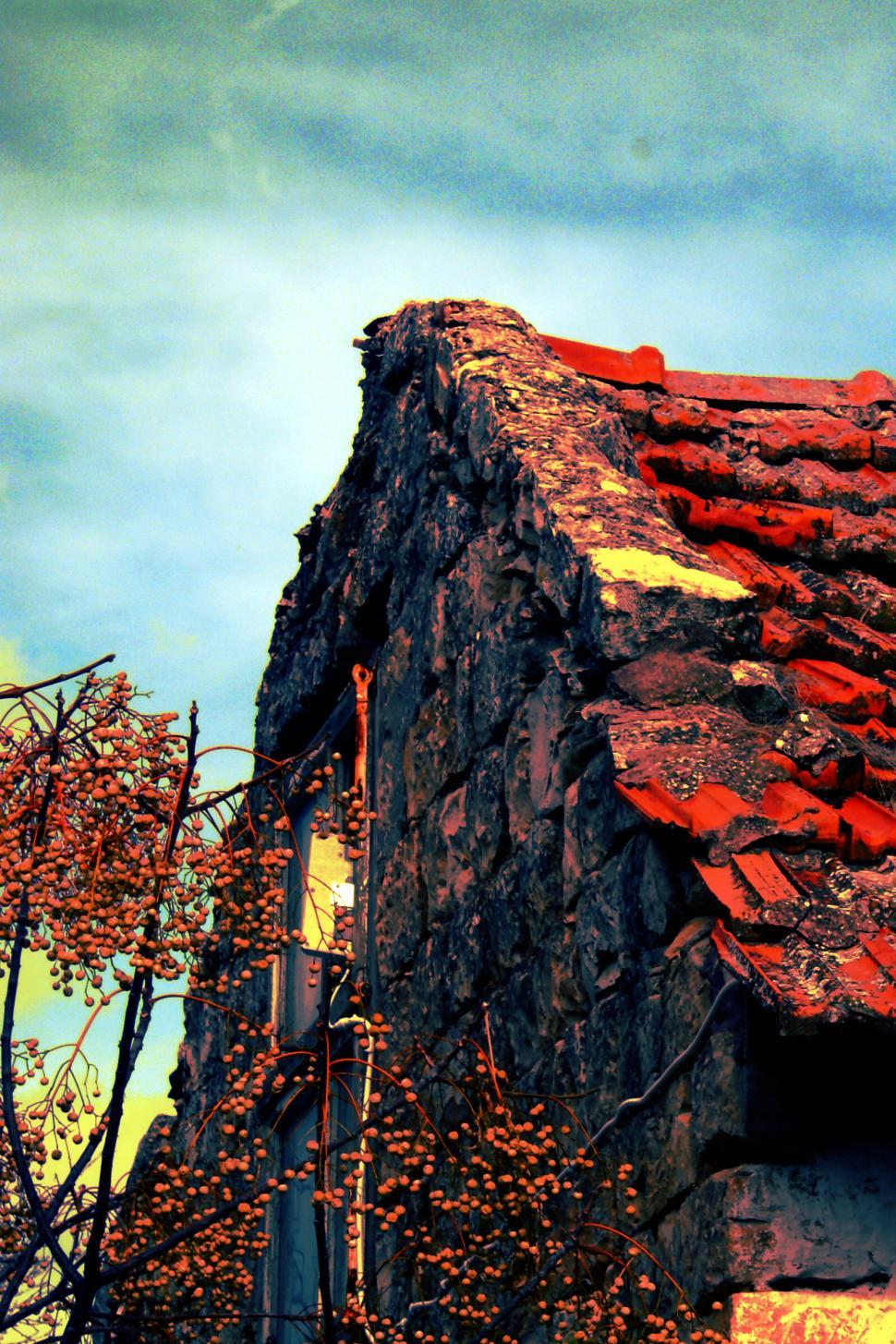 Free Image of Old Roof 