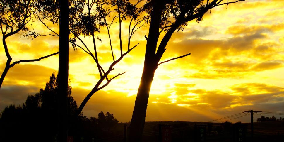 Free Image of Mesmerizing sunset with trees silhouetted against sky 
