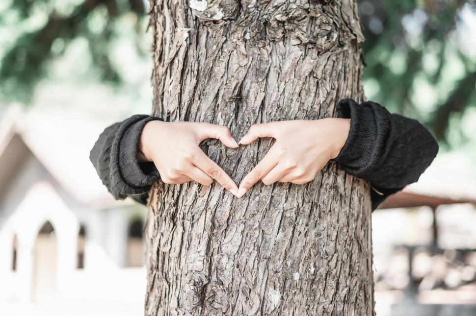 Free Image of Young woman hug a tree in the forest and show a sign of heart and love for nature 
