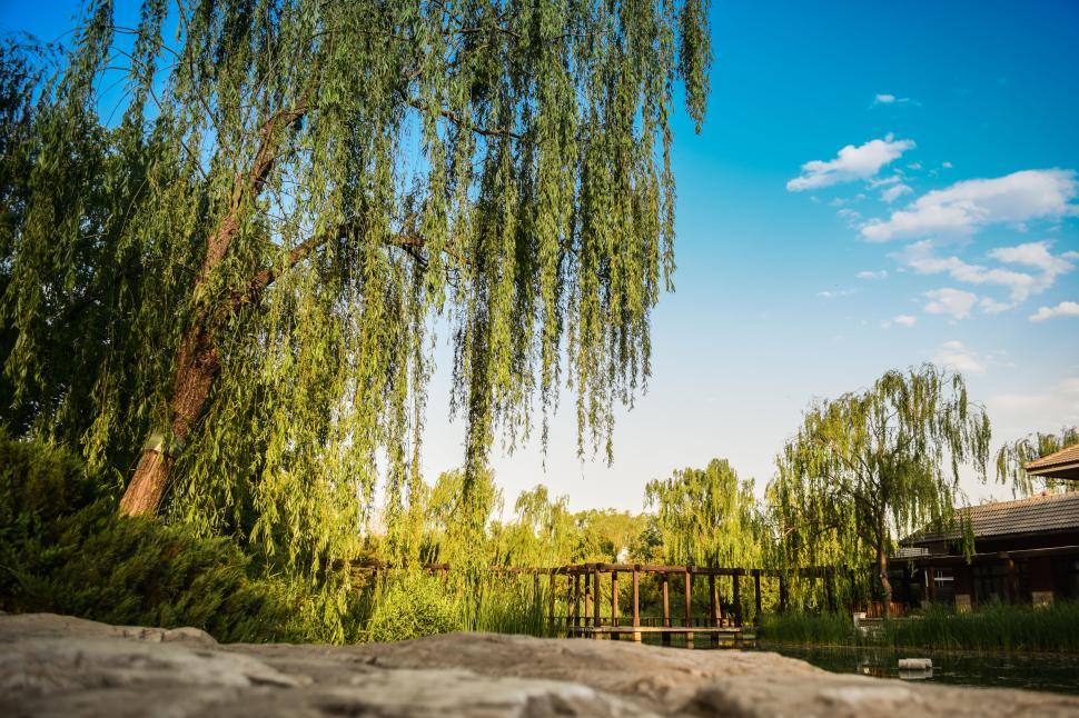 Free Image of Serene park with lush greenery and a wooden gazebo. 