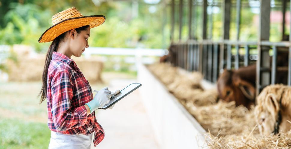 Free Image of Asian young farmer woman with tablet pc computer and cows in cowshed on dairy farm. Agriculture industry, farming, people, technology and animal husbandry concept. 