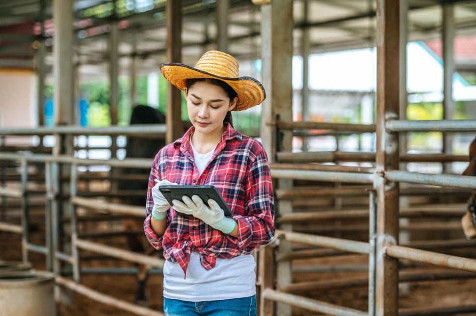 Free Image of Happy Asian young farmer woman with tablet pc computer while standing and looking at tablet on dairy farm. Agriculture industry, farming, people, technology and animal husbandry concept. 