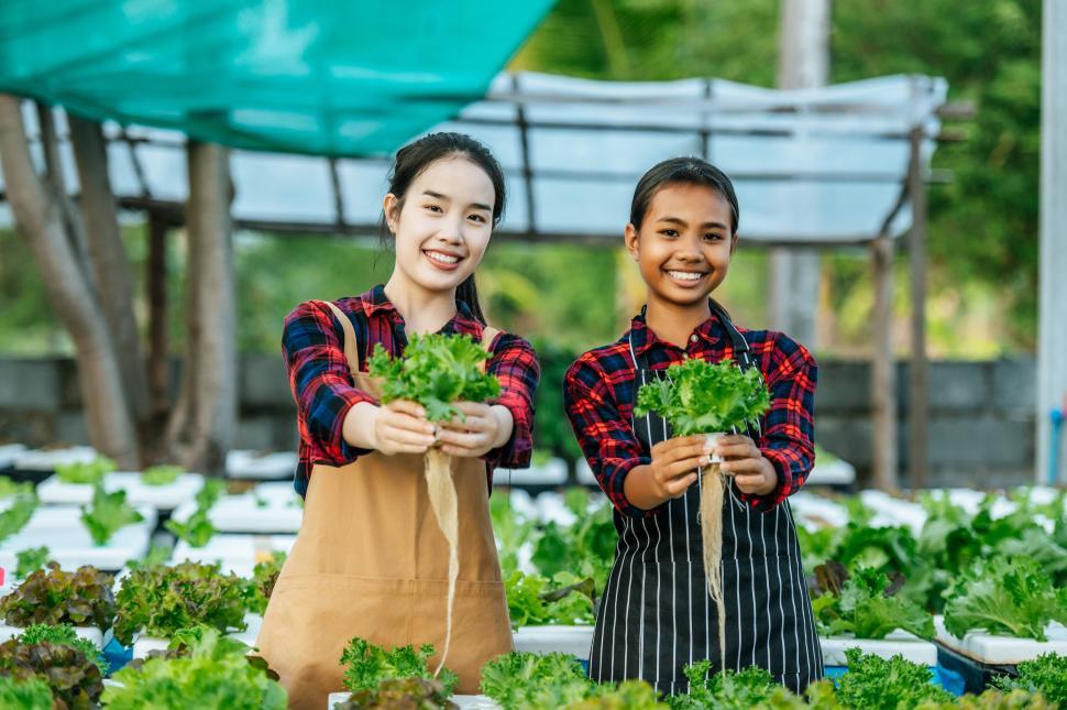 Free Image of Portrait of Happy farm workers - organic vegetable concept. 