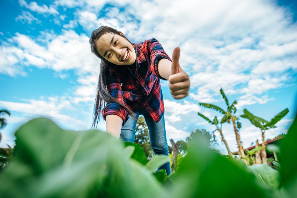 Free Image of Female Agricultural working in organic vegetable farm 