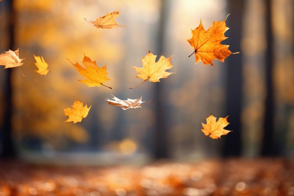 Free Image of Autumn leaves falling in a serene forest setting 