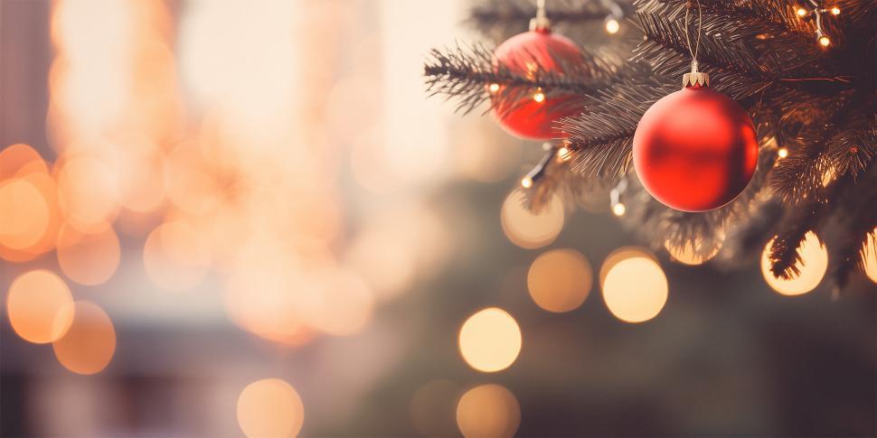 Free Image of Bright red ornaments hang on a festive Christmas tree 