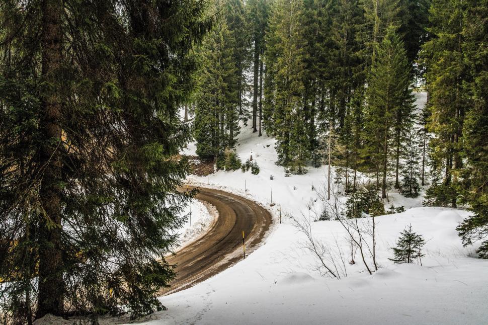 Free Image of Snowy curve along a forest road in a serene winter landscape 