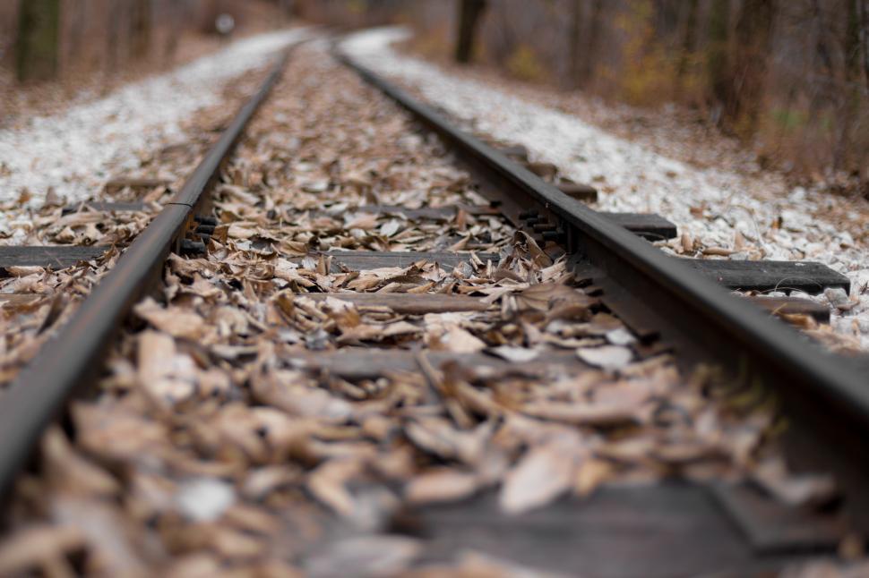 Free Image of Fallen leaves on railway tracks 